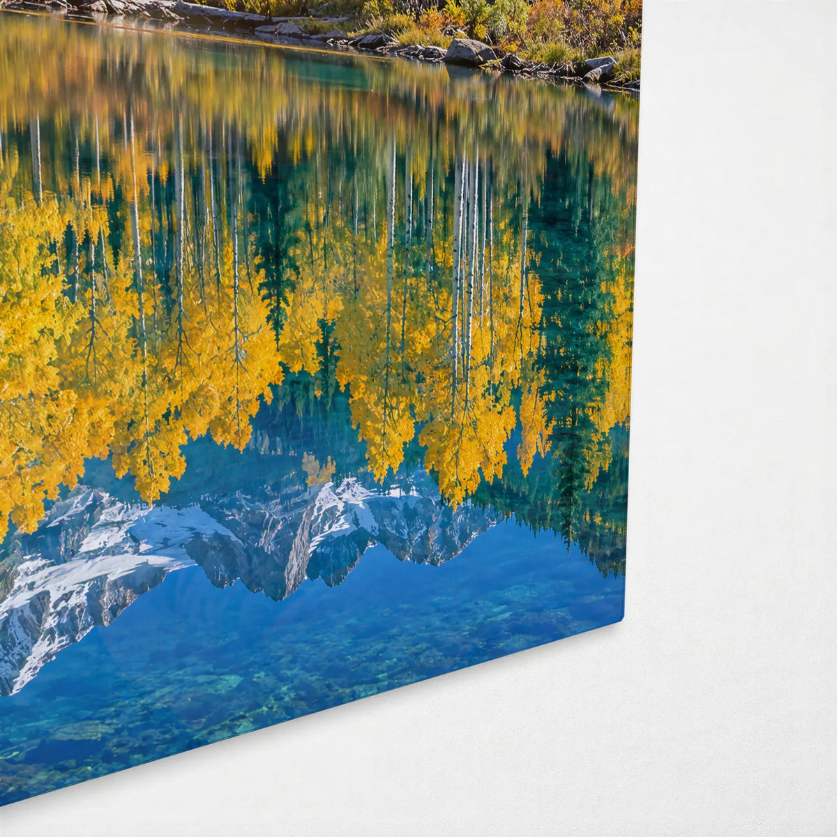 Aspens and the Pond — corner detail of glass wall art
