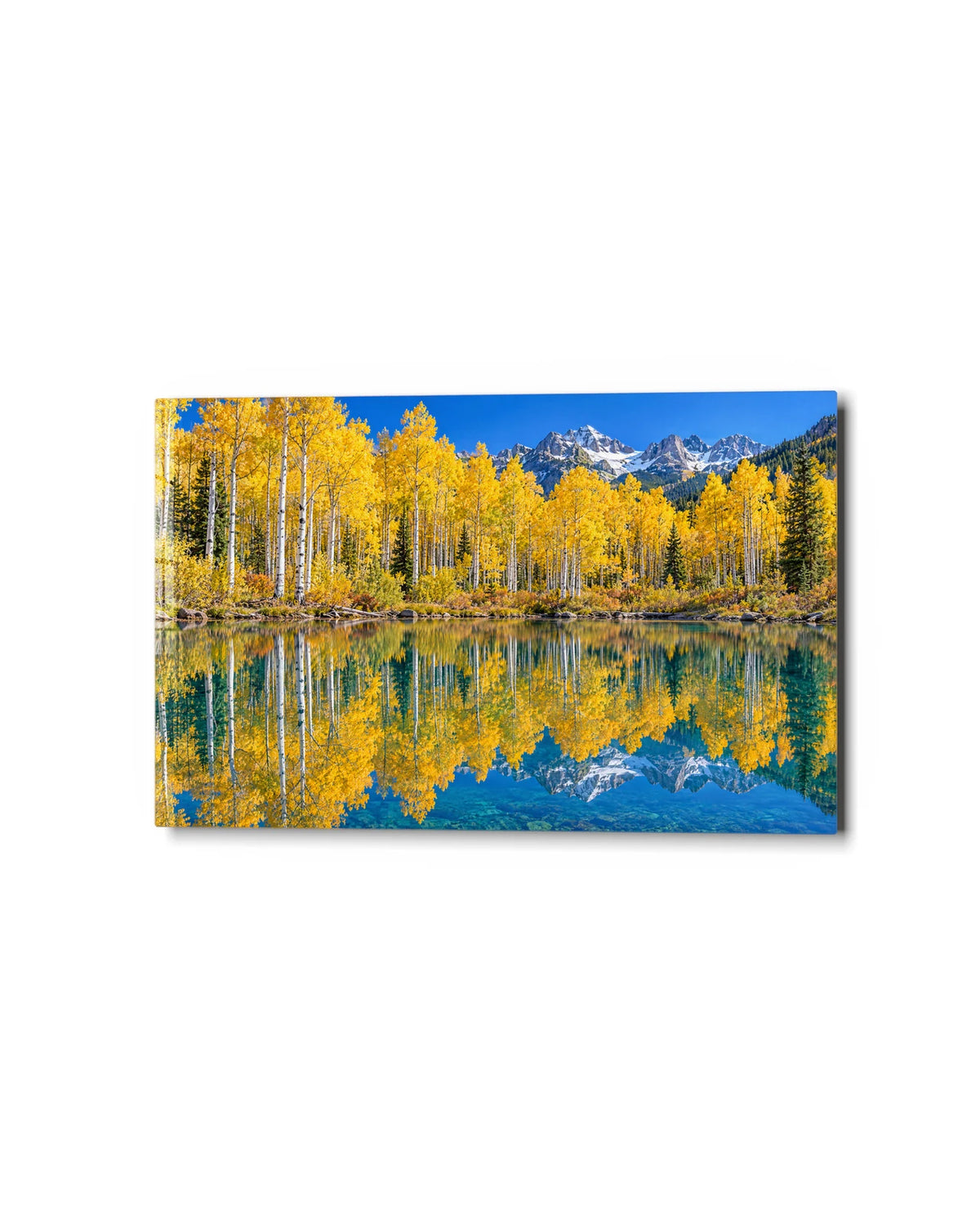 Aspens and the Pond — studio view of glass wall art