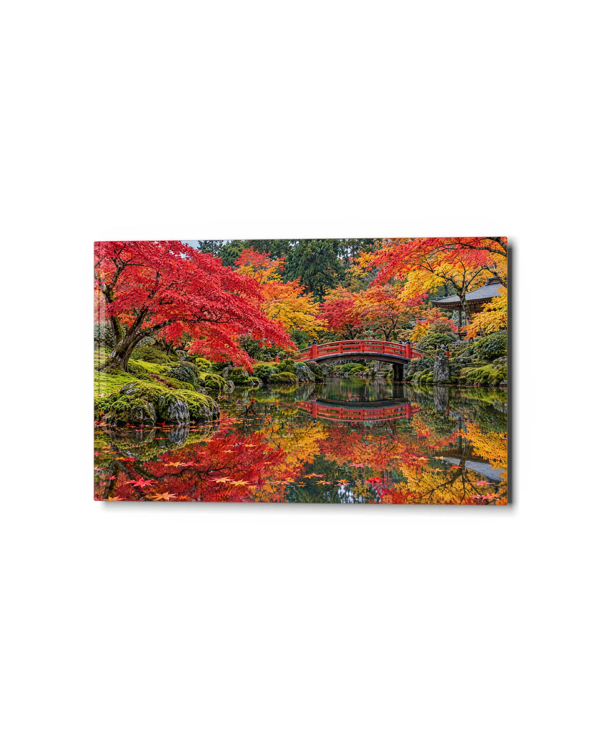 Kyoto Maple Garden — studio view of glass wall art
