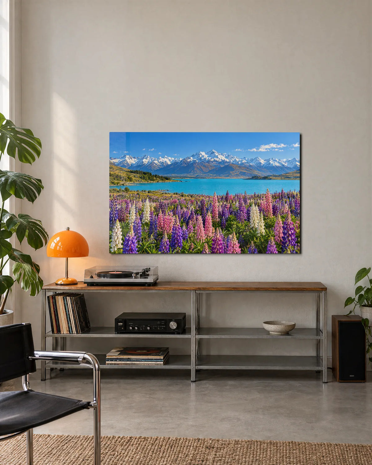 Lupins at Tekapo — shown in a living space