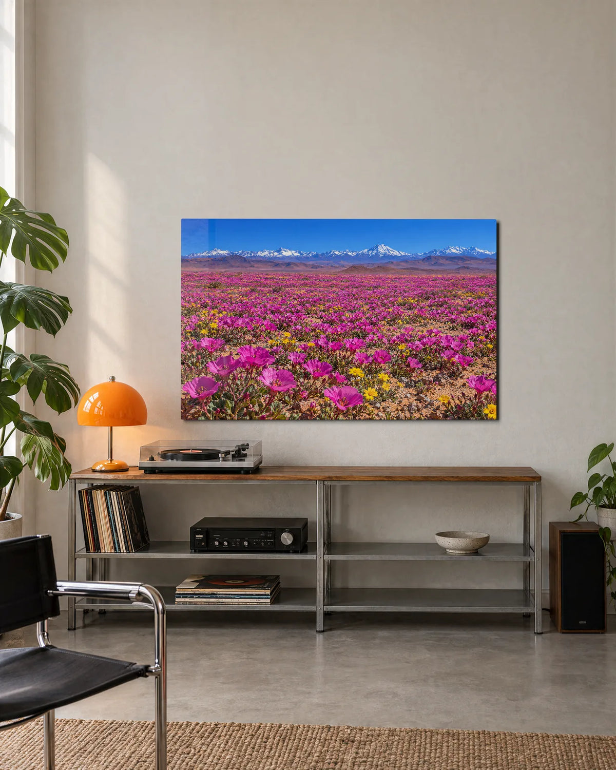 Atacama in Bloom — shown in a living space