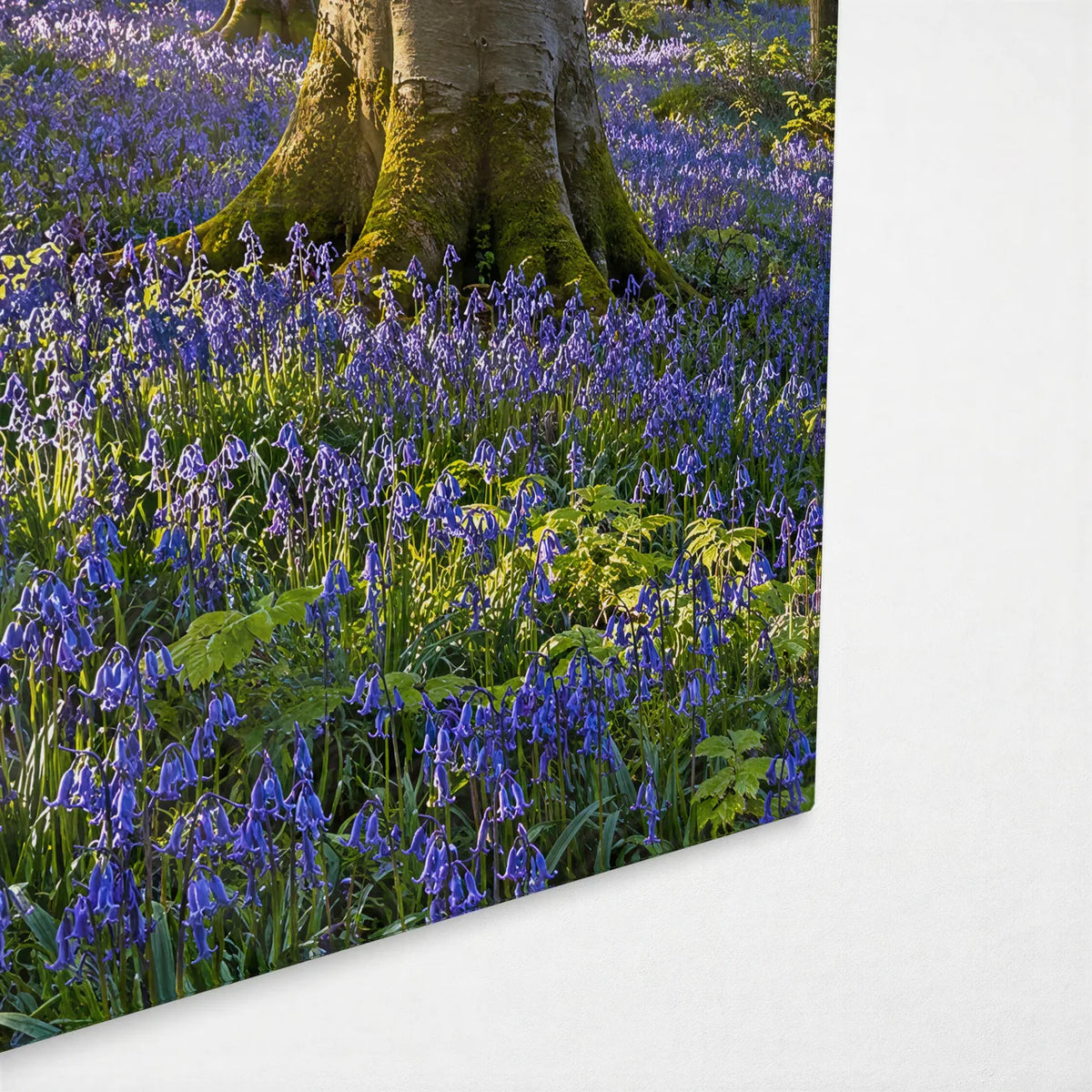 Bluebell Wood — corner detail of glass wall art
