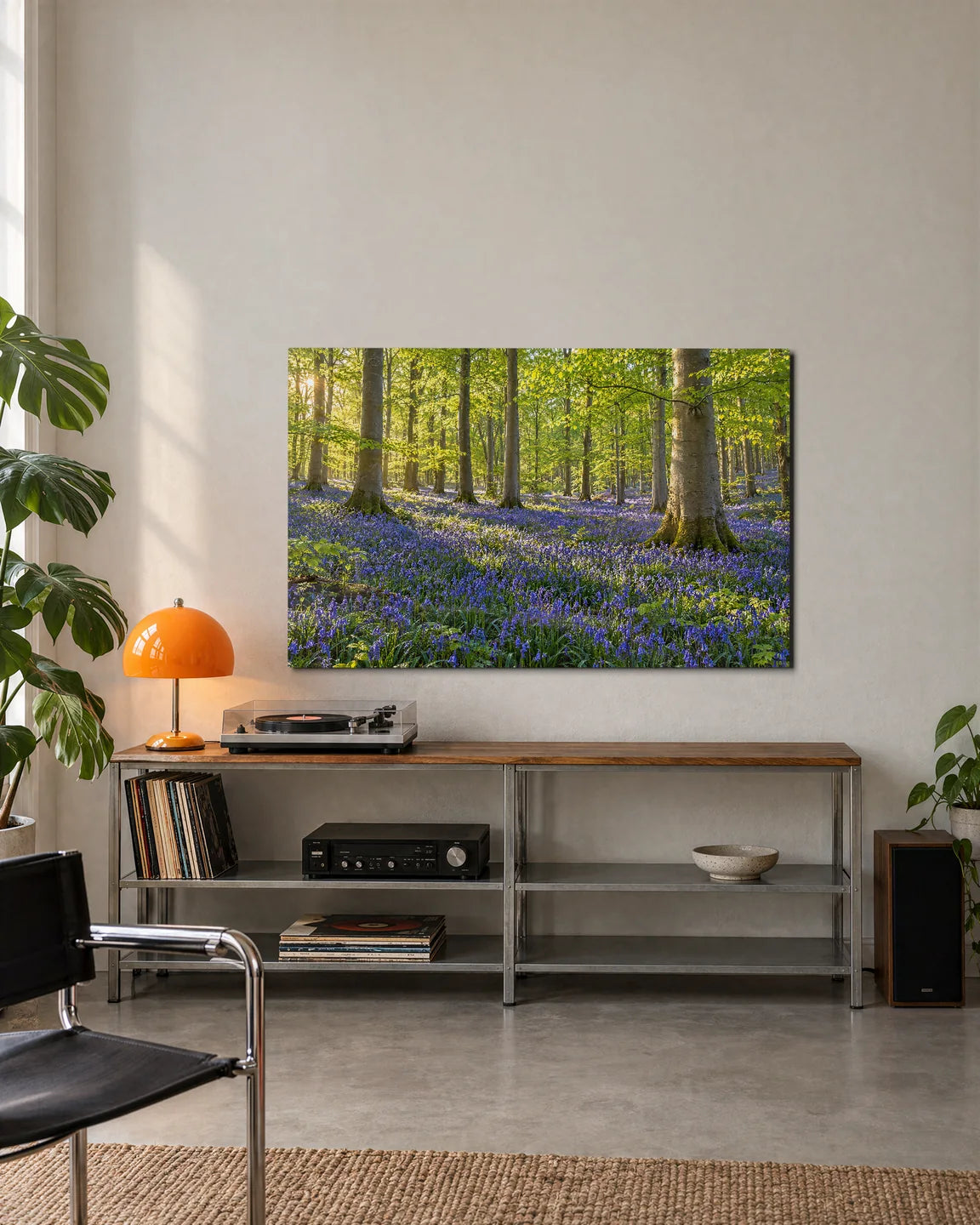 Bluebell Wood — shown in a living space