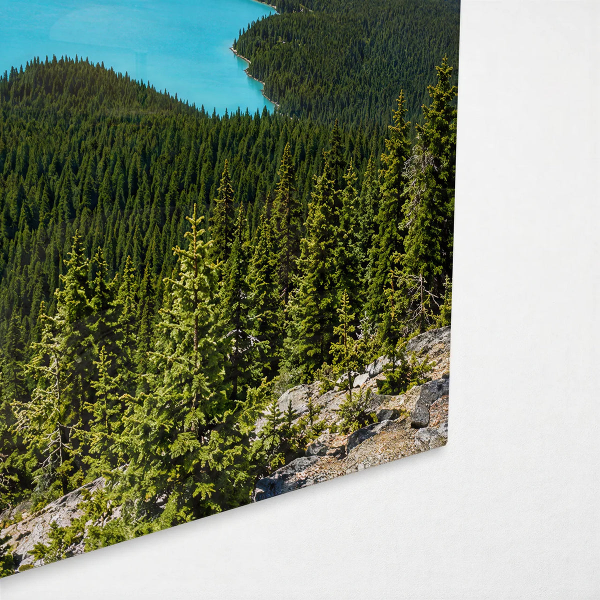 Peyto Lake — corner detail of glass wall art