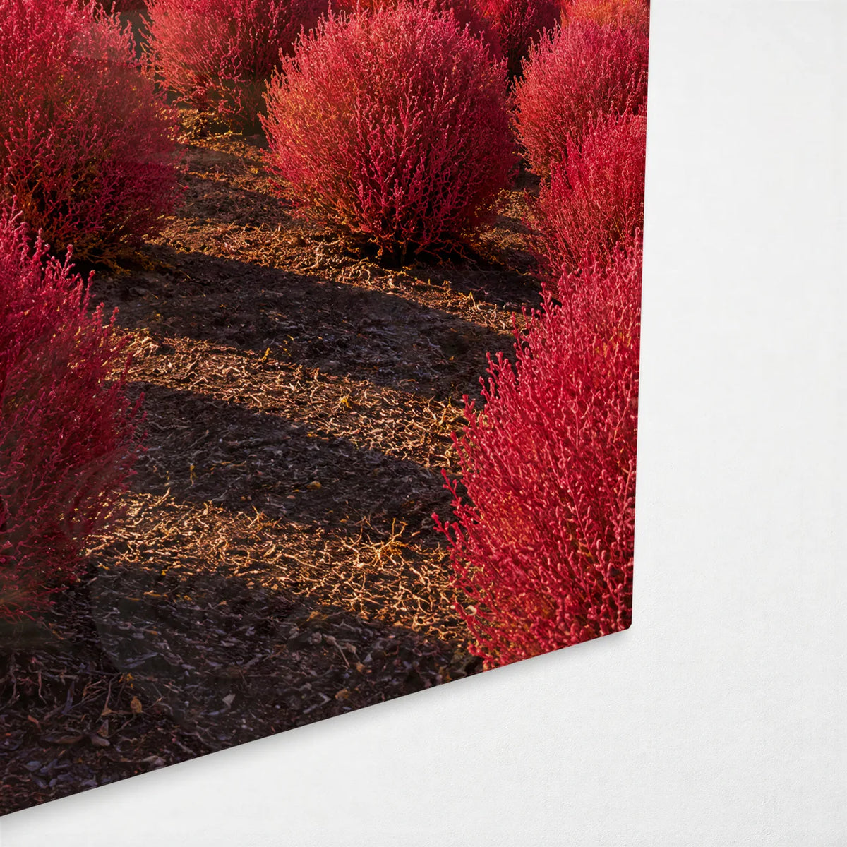 Kochia Hills in Autumn — corner detail of glass wall art