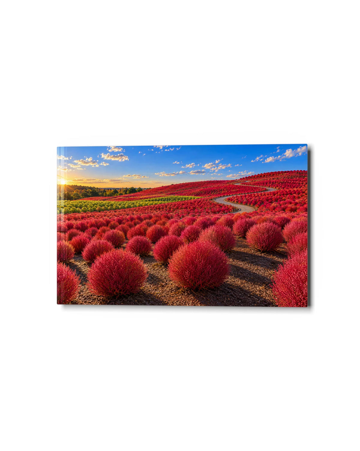Kochia Hills in Autumn — studio view of glass wall art