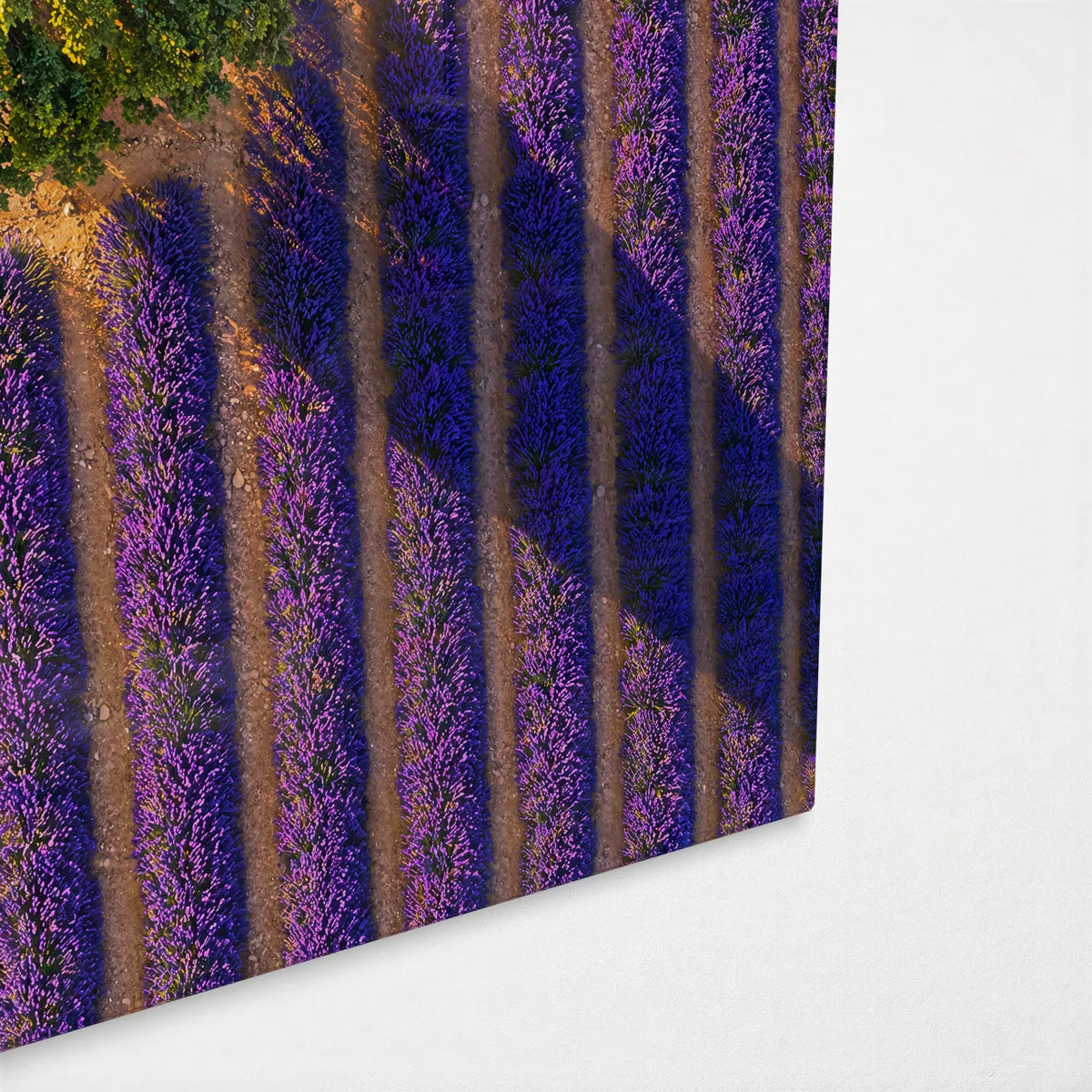 Lone Tree in Lavender — corner detail of glass wall art