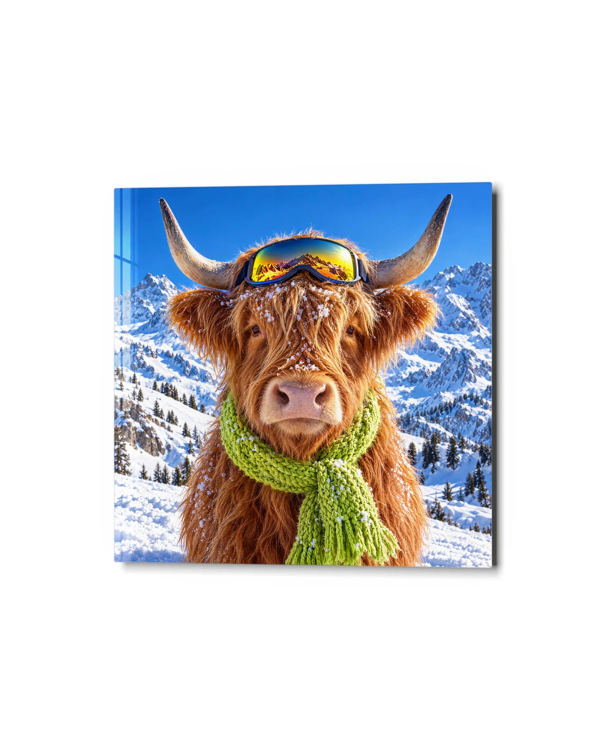 Highland Cow on the Slopes — studio view of glass wall art