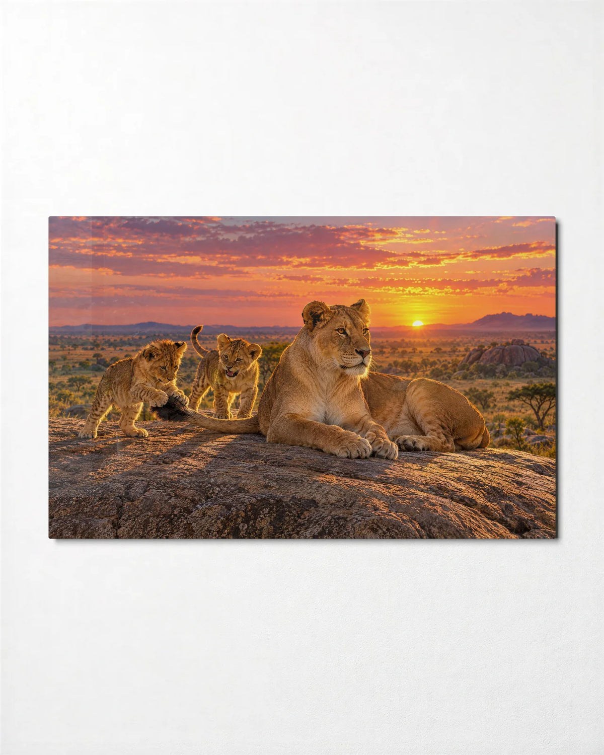 Pride at Dawn — front view of glass wall art