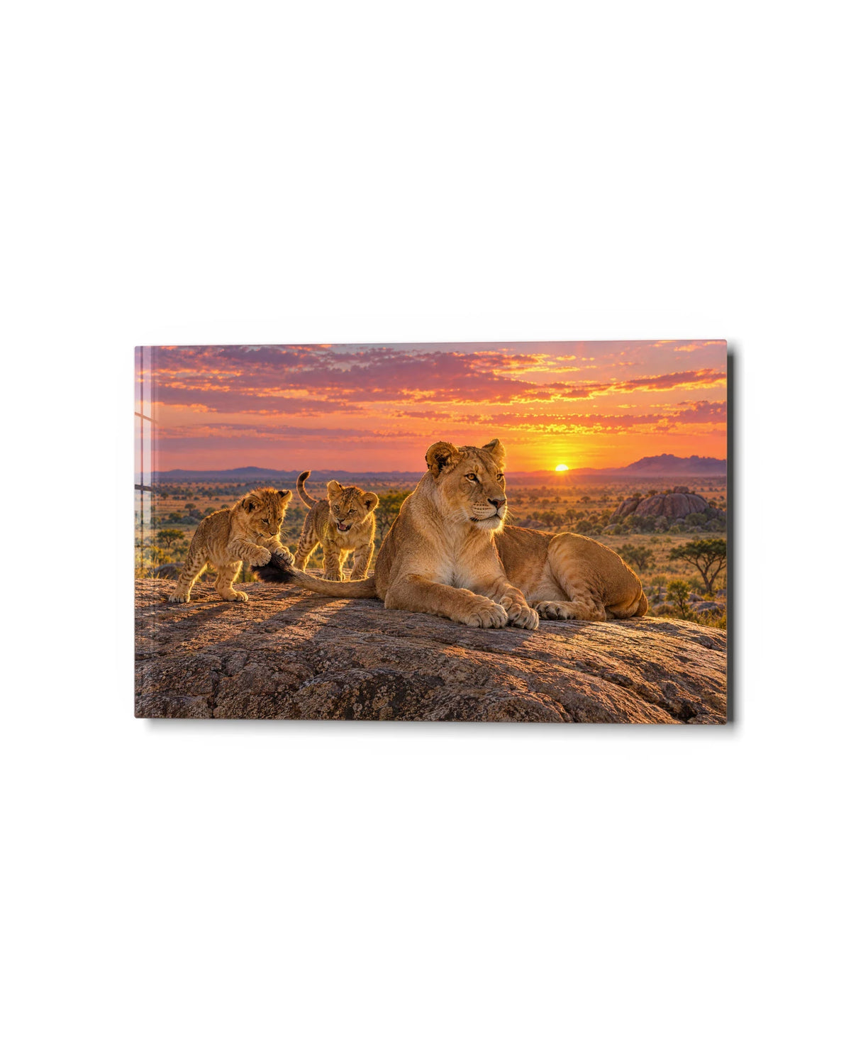 Pride at Dawn — studio view of glass wall art