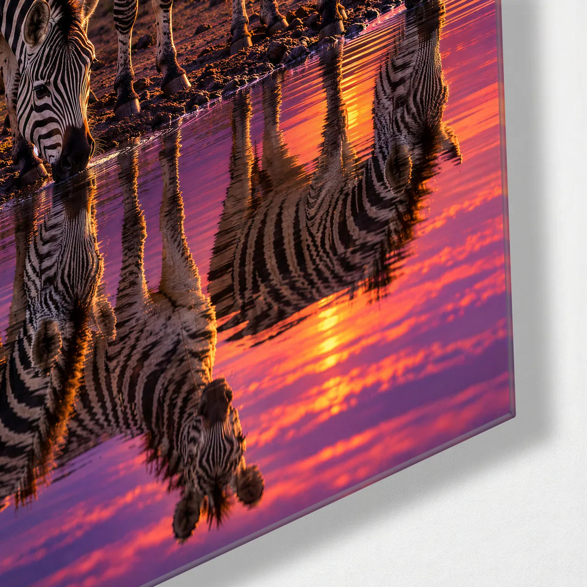 Zebras at the Pink Waterhole — corner detail of glass wall art