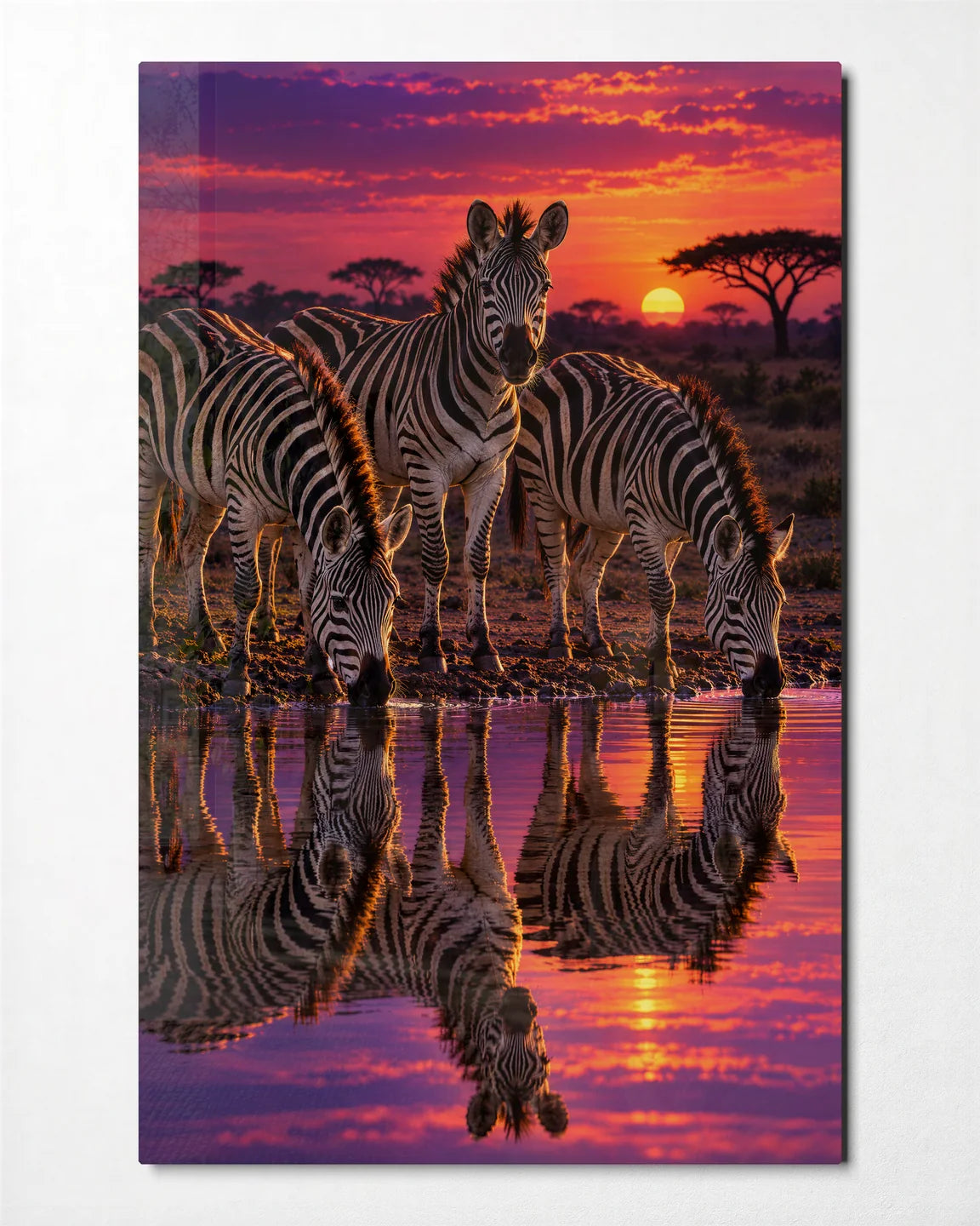 Zebras at the Pink Waterhole — front view of glass wall art