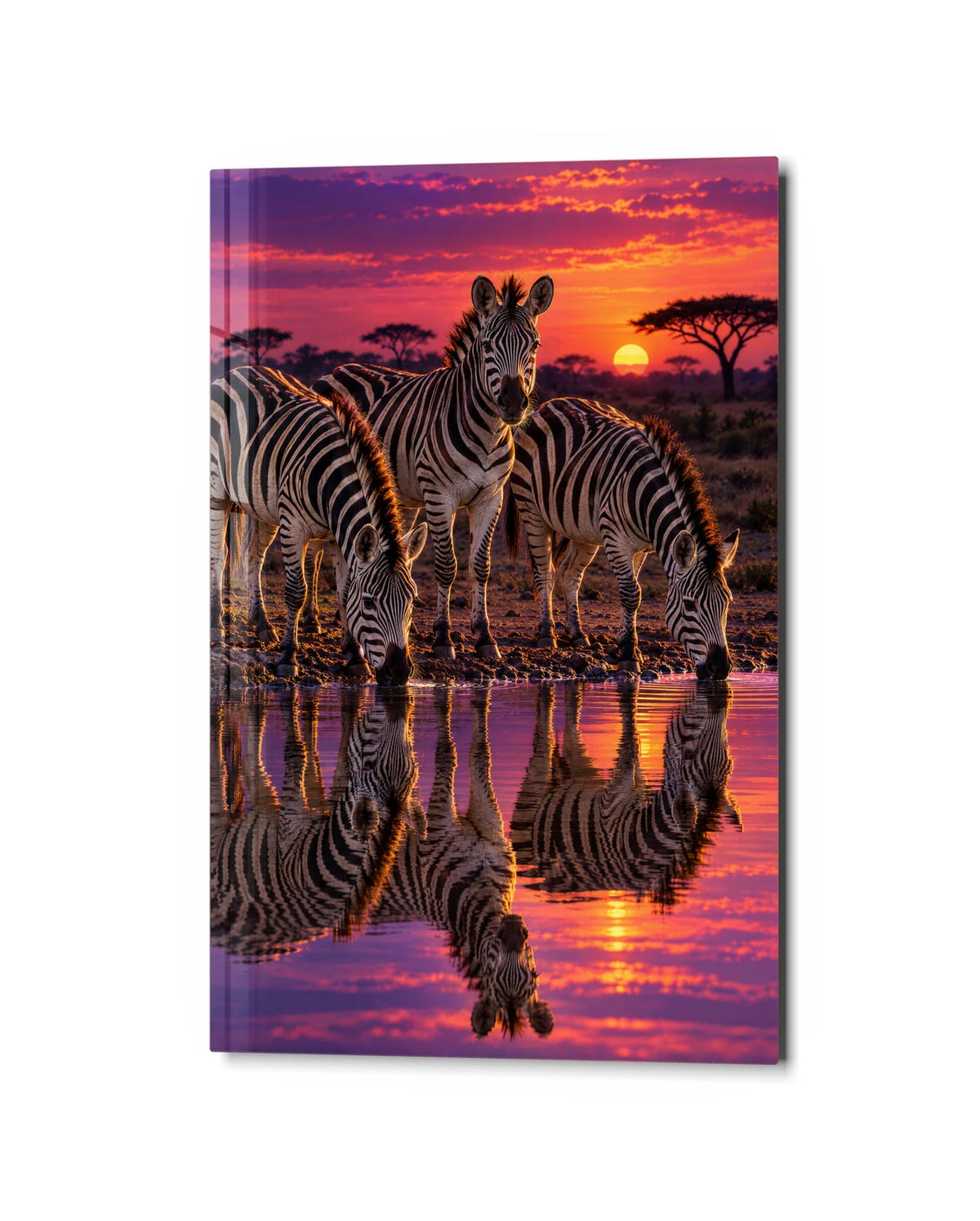 Zebras at the Pink Waterhole — studio view of glass wall art