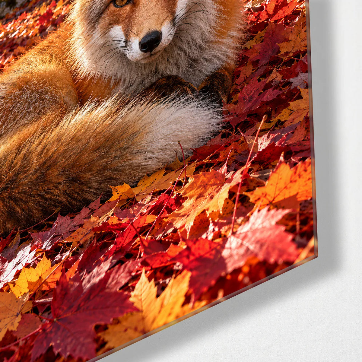 Fox in the Maples — corner detail of glass wall art
