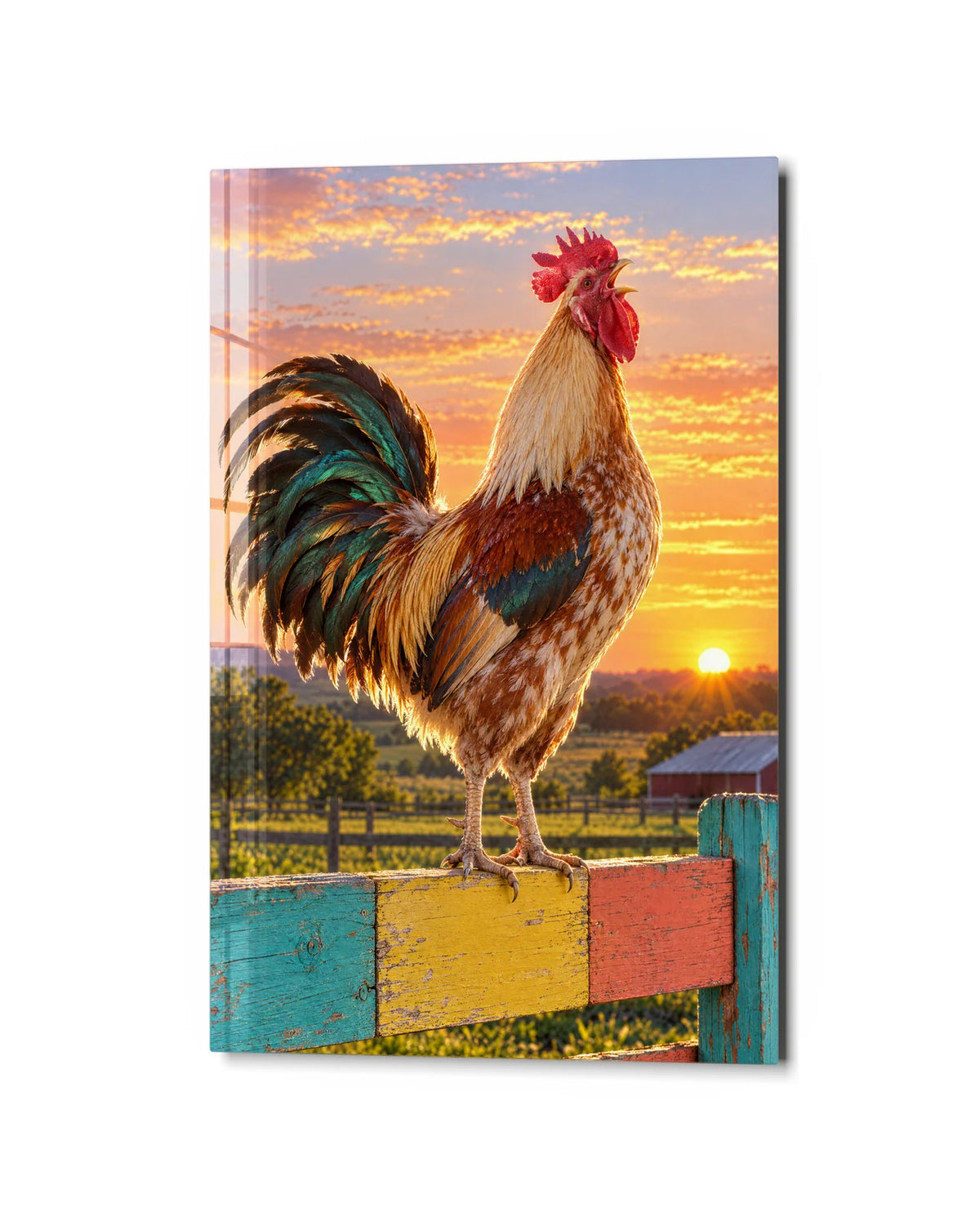 Rooster at Sunrise — studio view of glass wall art