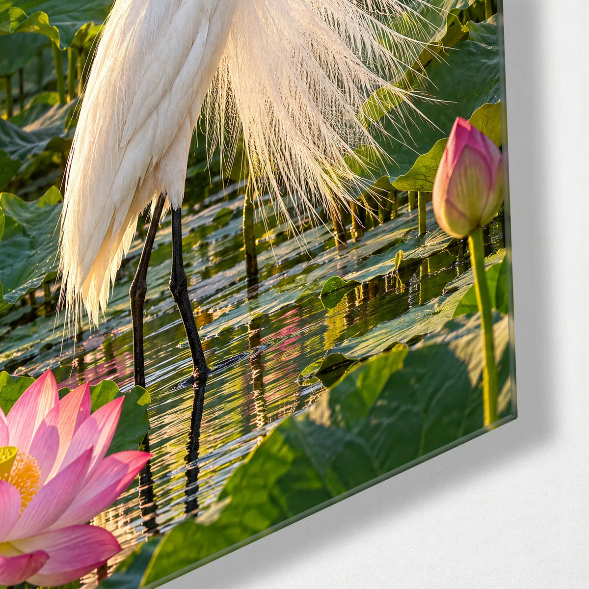 Egret in the Lotus — corner detail of glass wall art