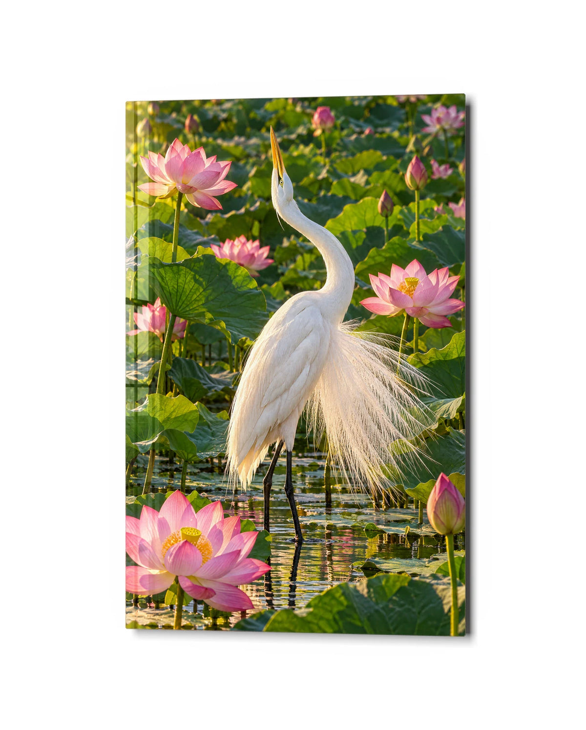 Egret in the Lotus — studio view of glass wall art