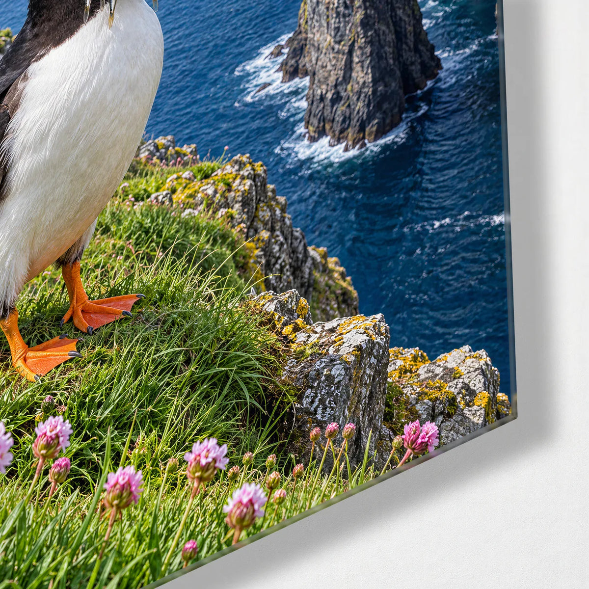 Puffin with a Catch — corner detail of glass wall art