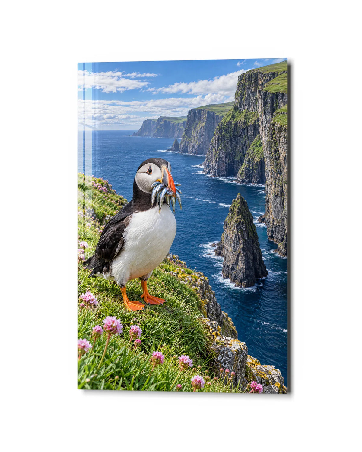 Puffin with a Catch — studio view of glass wall art