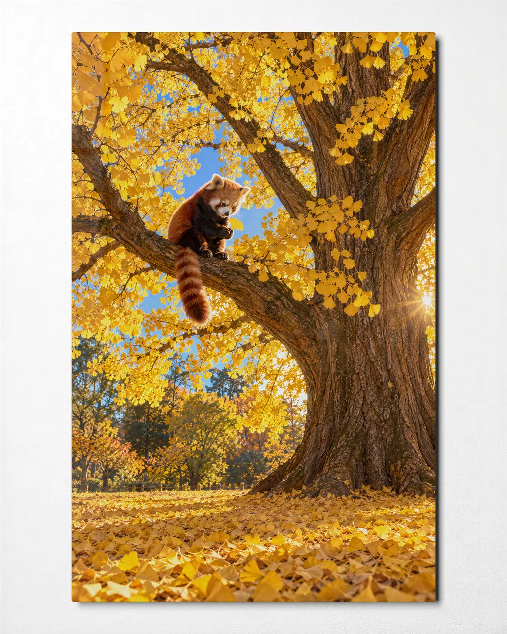 Red Panda in the Ginkgo — front view of glass wall art