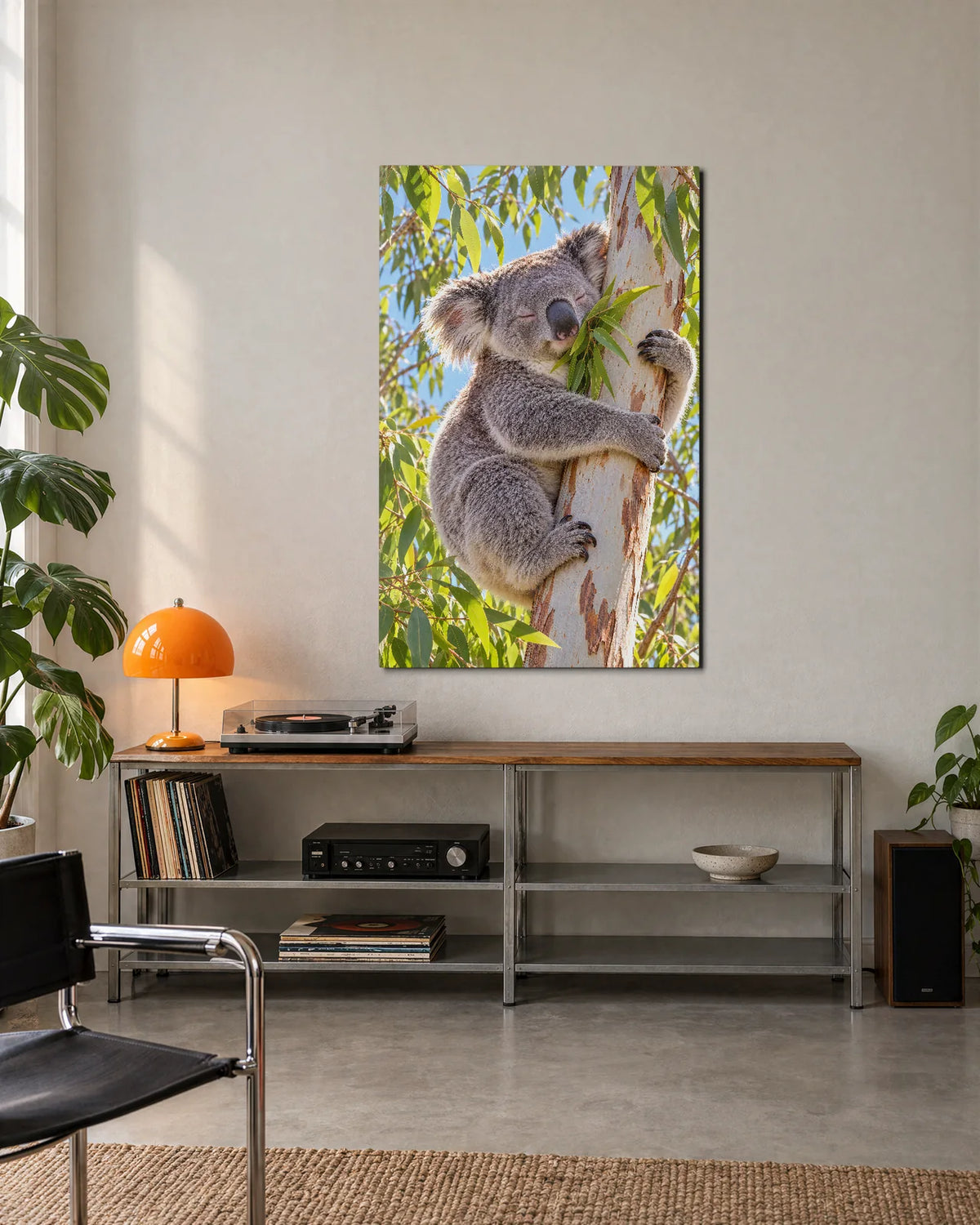 Koala Hugging the Gum Tree — shown in a living space