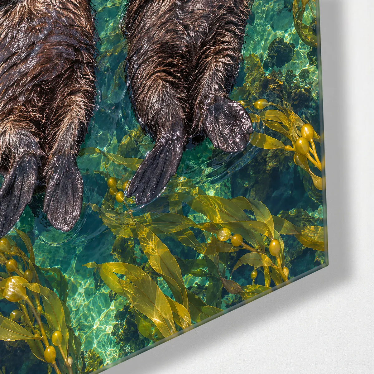 Otters Holding Hands — corner detail of glass wall art