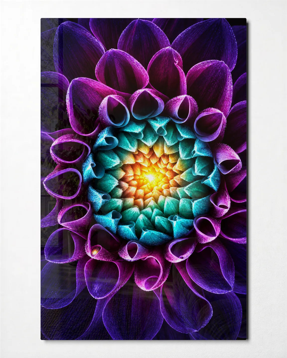 Sun in the Dahlia — front view of glass wall art