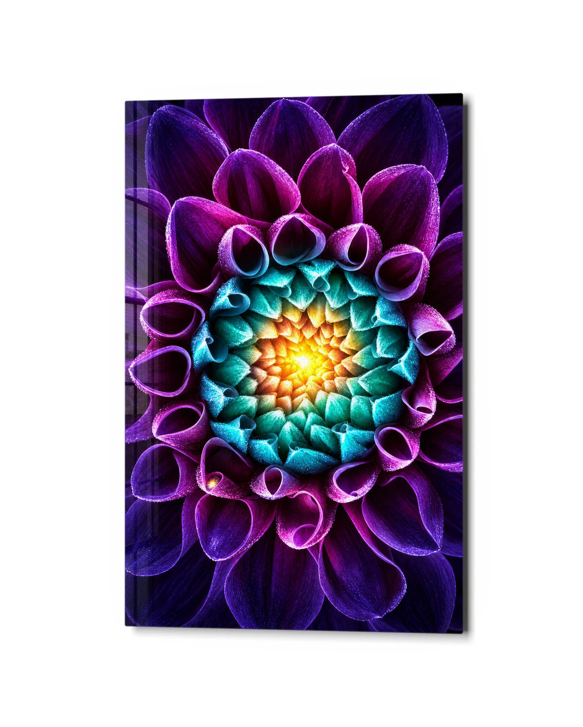 Sun in the Dahlia — studio view of glass wall art