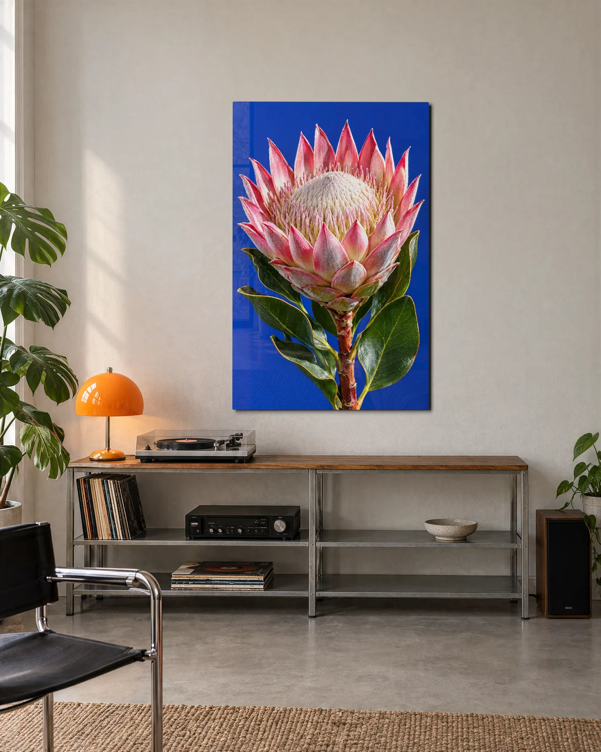 King Protea on Cobalt — shown in a living space