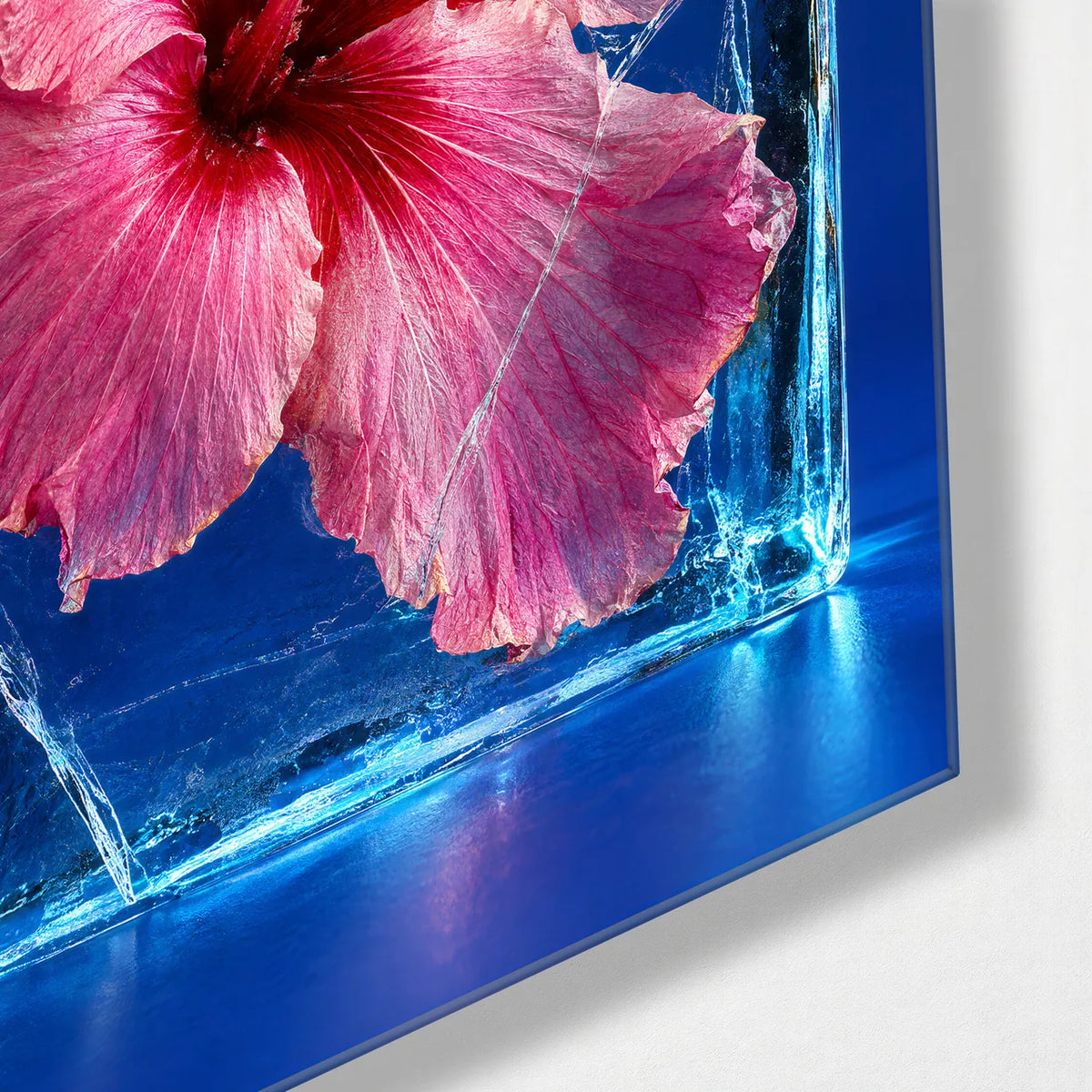 Hibiscus in Ice — corner detail of glass wall art
