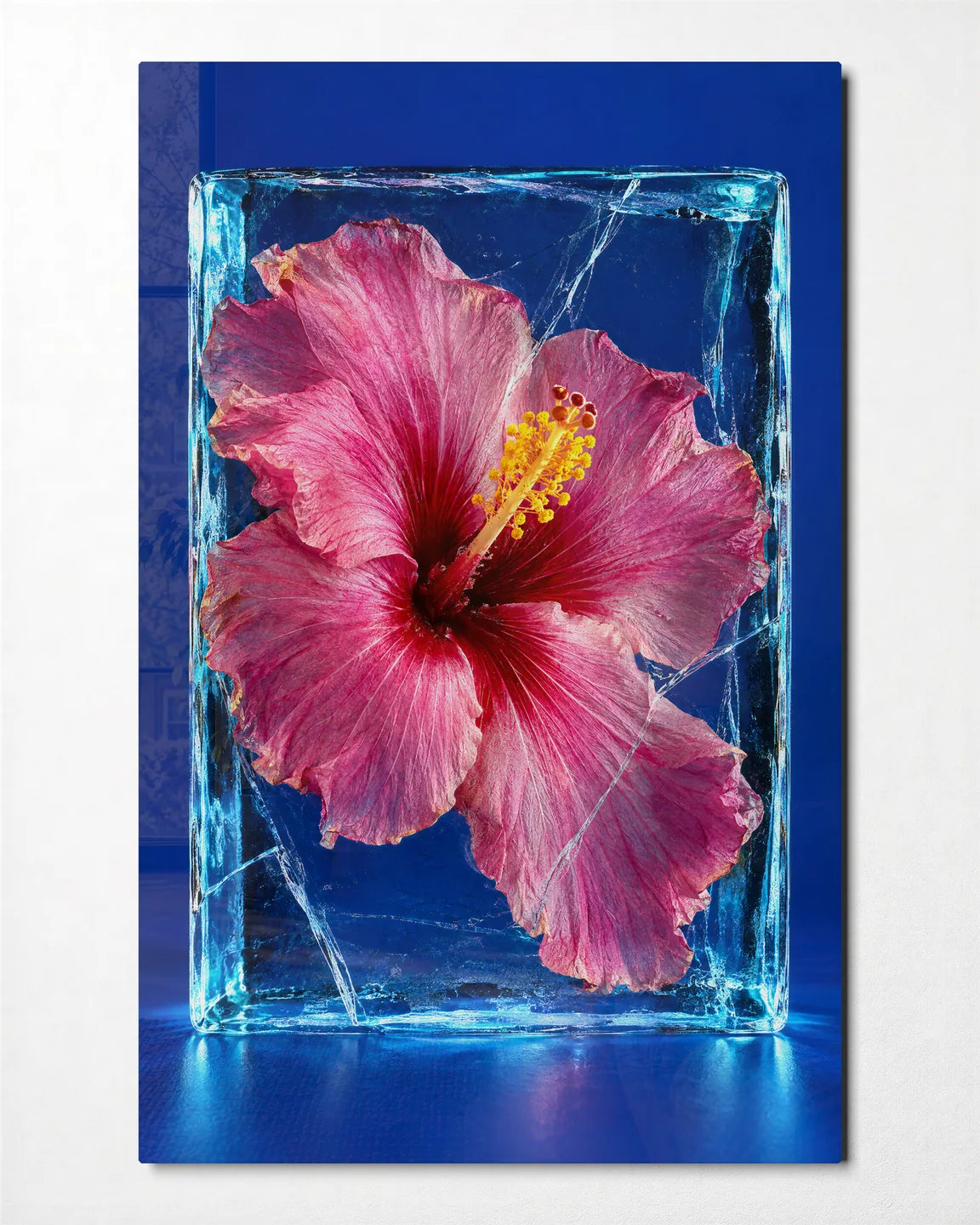 Hibiscus in Ice — front view of glass wall art