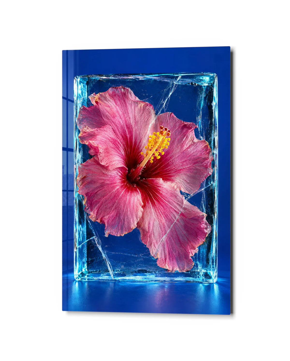 Hibiscus in Ice — studio view of glass wall art