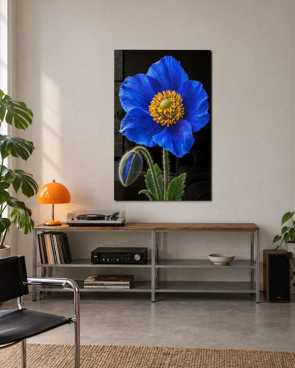 Blue Poppy on Black — shown in a living space