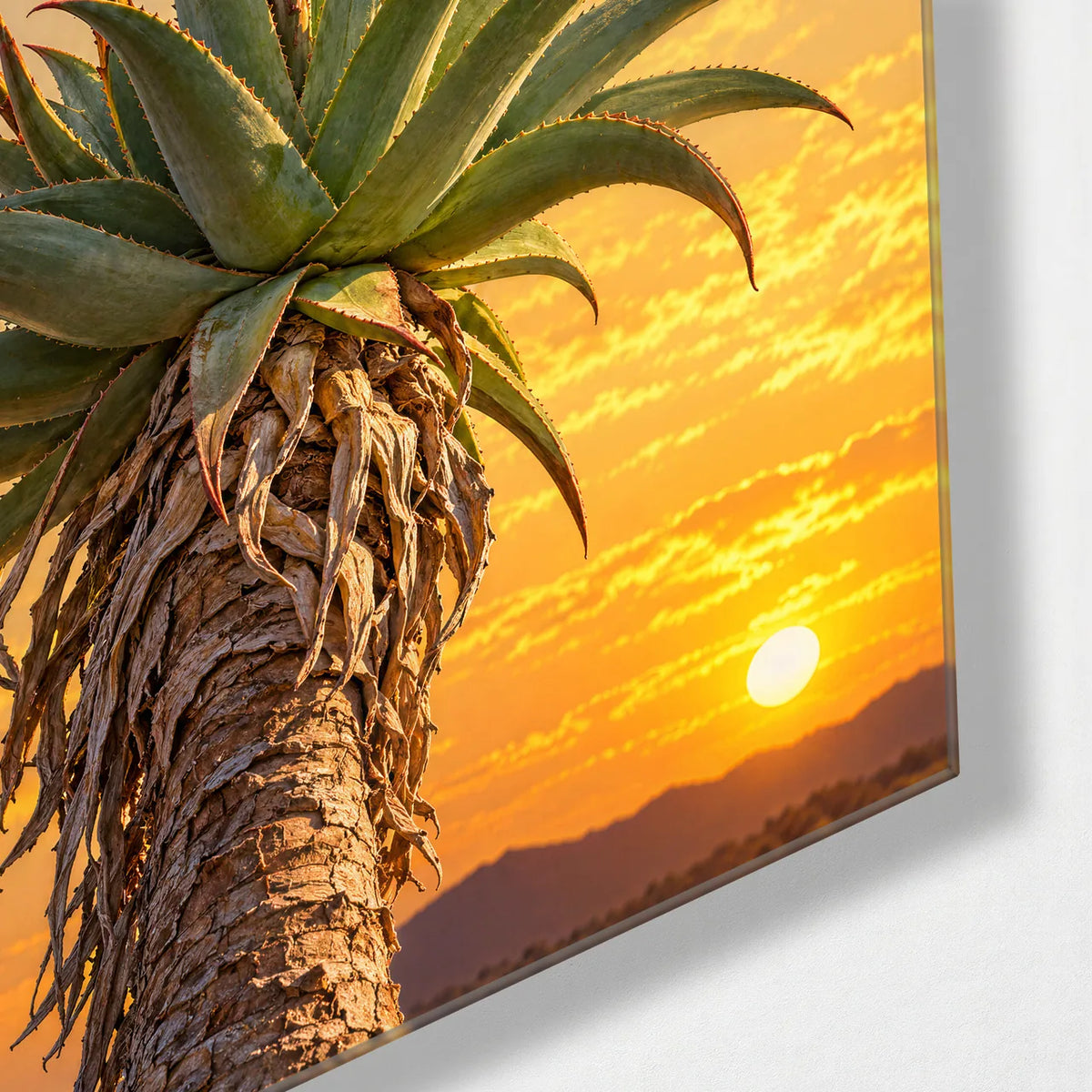 Aloe in Bloom at Sunset — corner detail of glass wall art