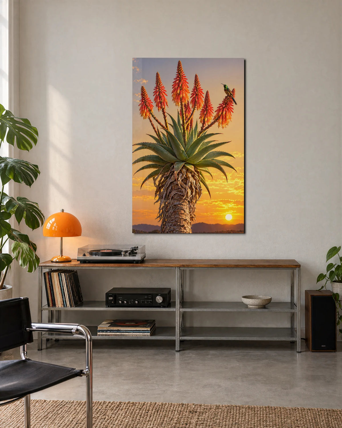 Aloe in Bloom at Sunset — shown in a living space