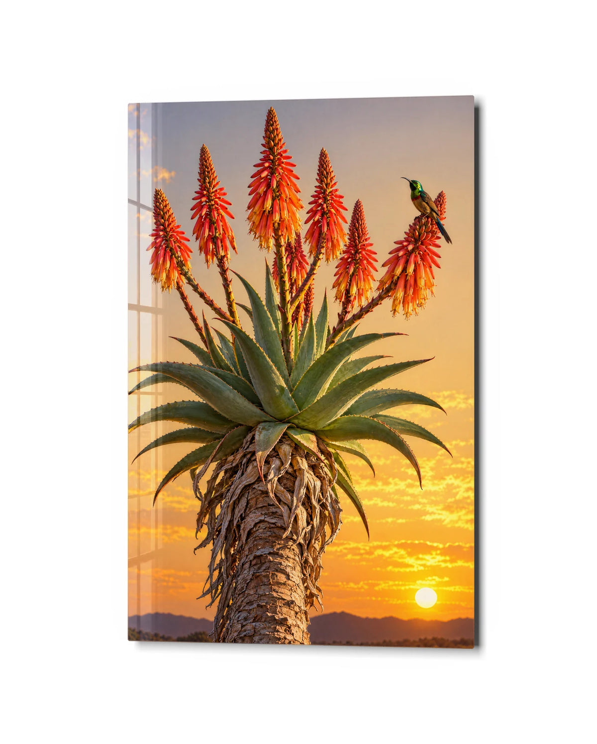 Aloe in Bloom at Sunset — studio view of glass wall art