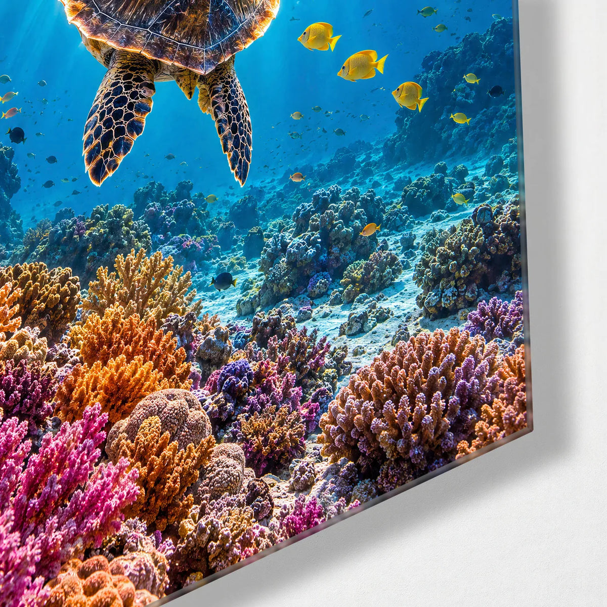 Turtle to the Light — corner detail of glass wall art