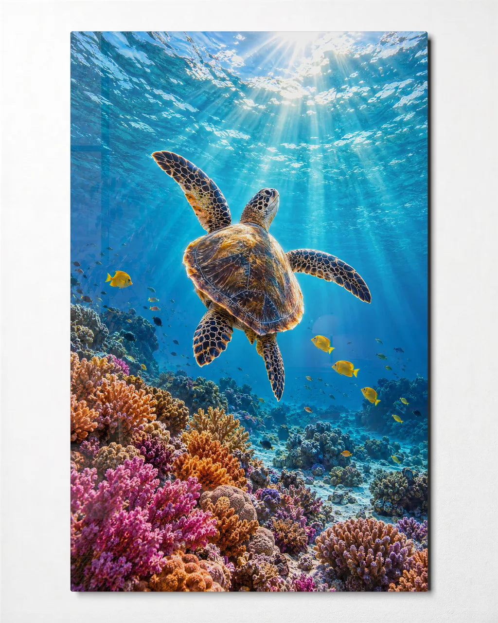 Turtle to the Light — front view of glass wall art