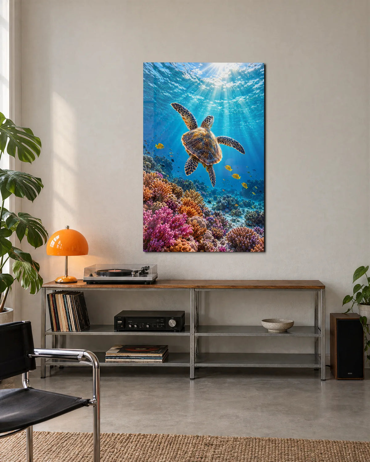 Turtle to the Light — shown in a living space