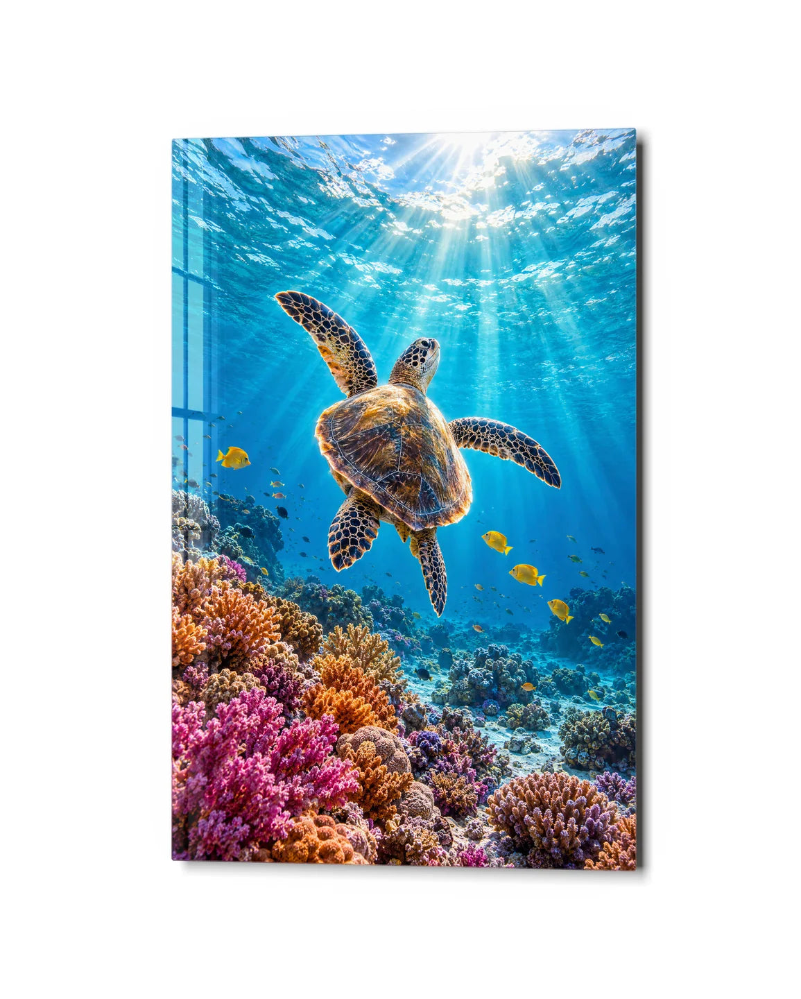 Turtle to the Light — studio view of glass wall art