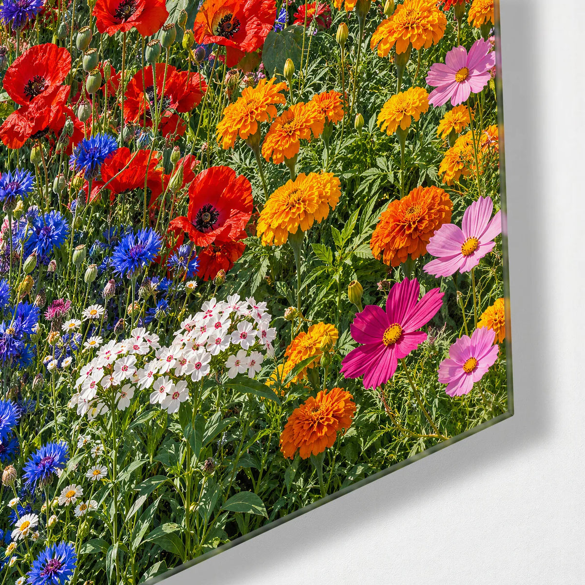 Summer Flower Meadow — corner detail of glass wall art