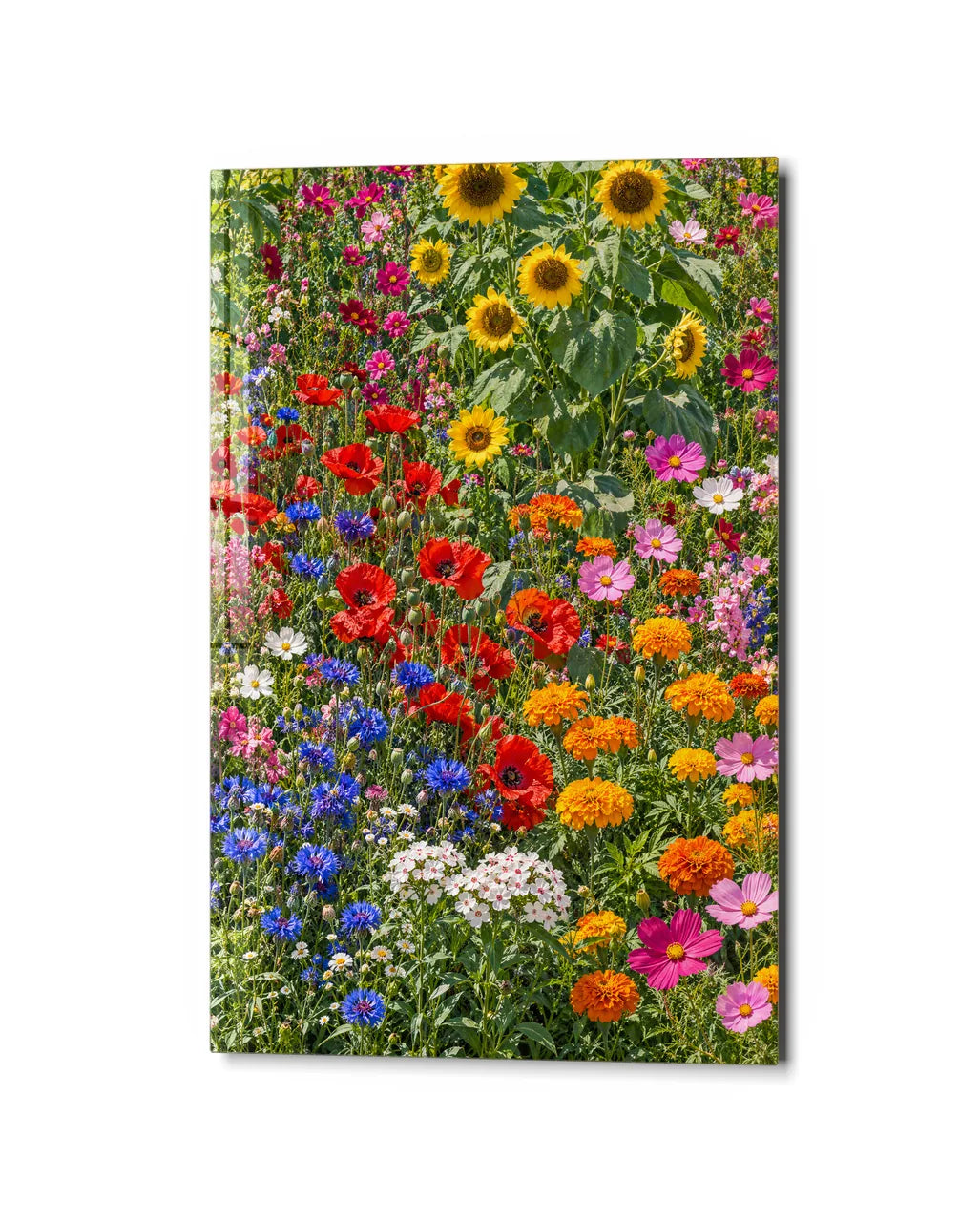 Summer Flower Meadow — studio view of glass wall art