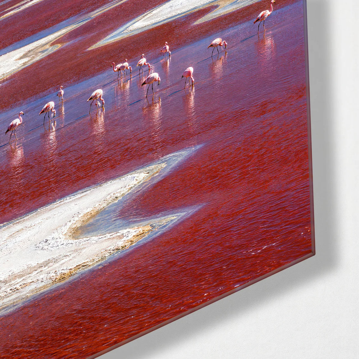 Laguna Colorada — corner detail of glass wall art