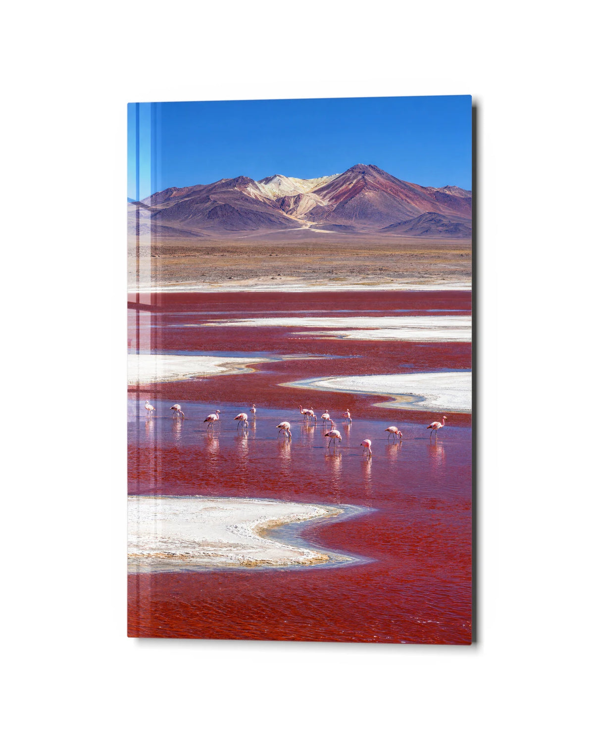 Laguna Colorada — studio view of glass wall art