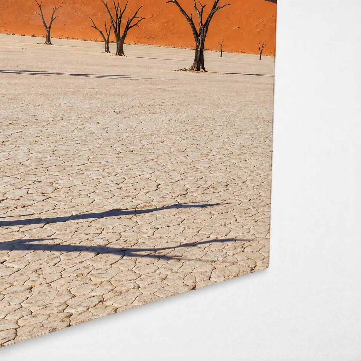 Deadvlei Noon — corner detail of glass wall art
