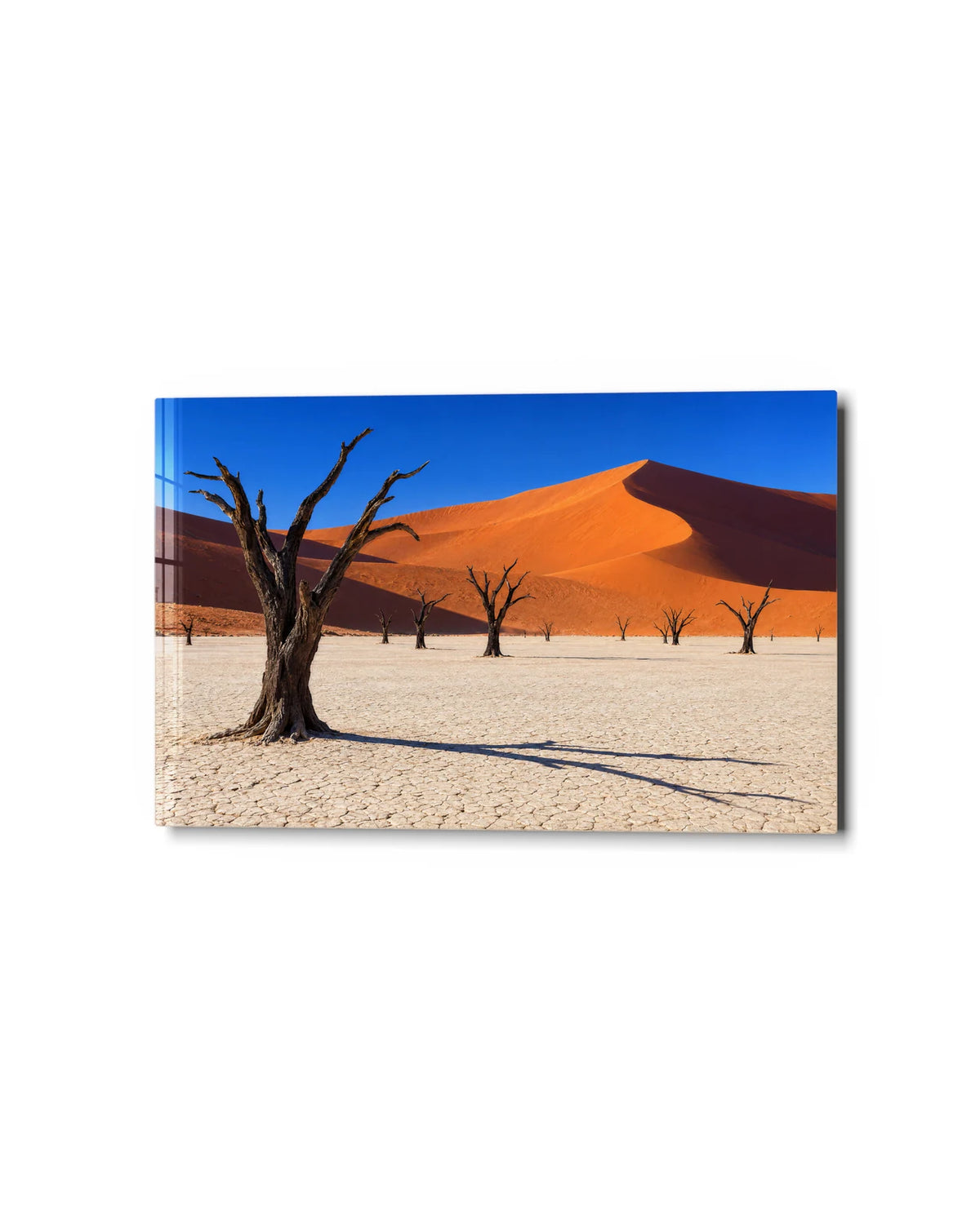 Deadvlei Noon — studio view of glass wall art