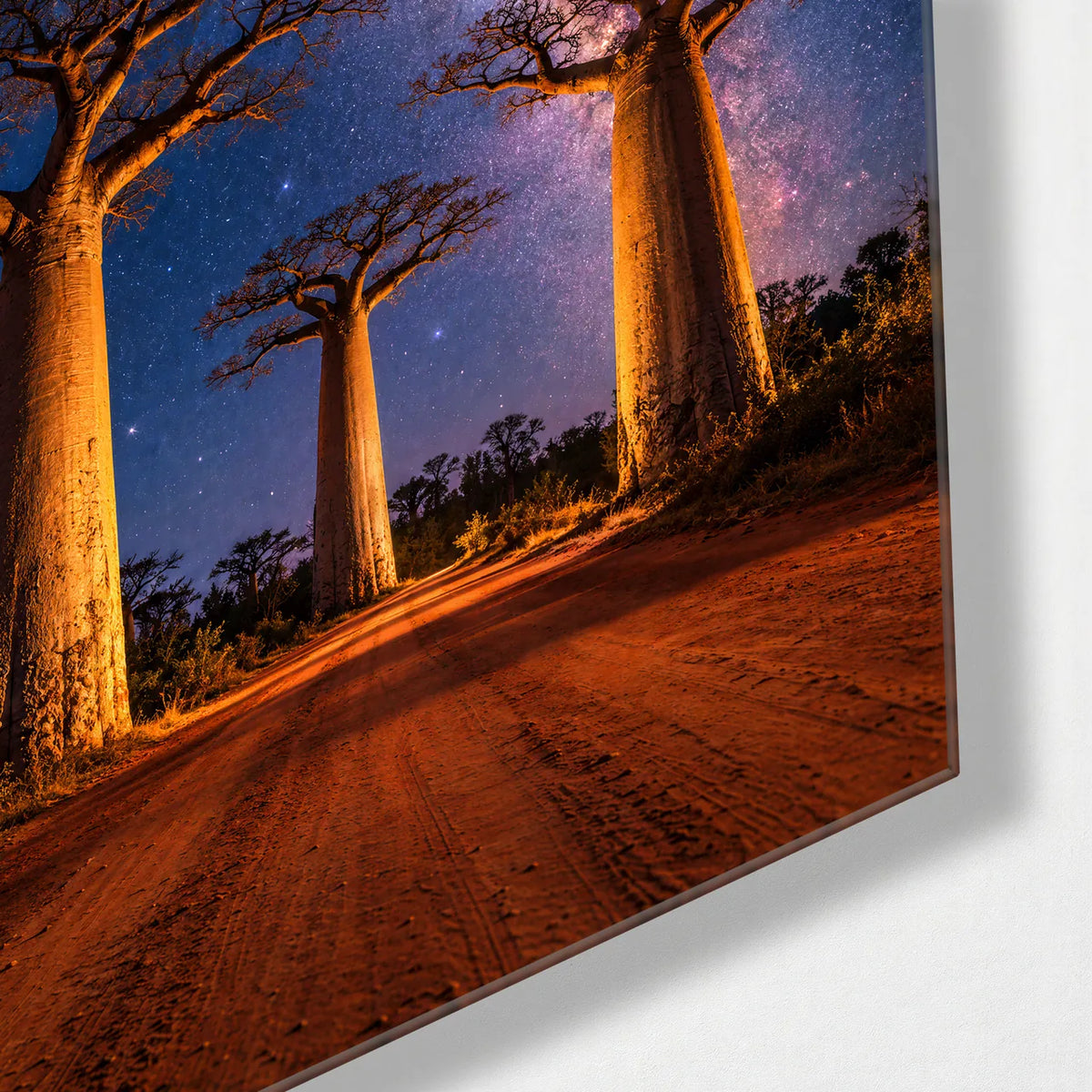Baobabs Under the Milky Way — corner detail of glass wall art