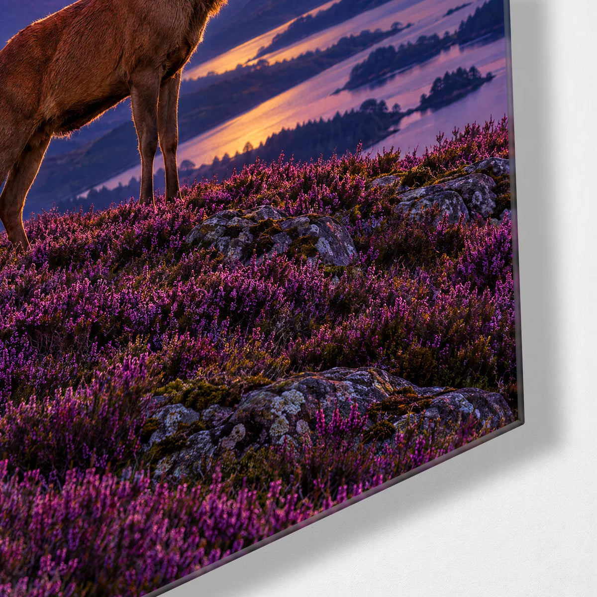 Stag and the Rising Moon — corner detail of glass wall art