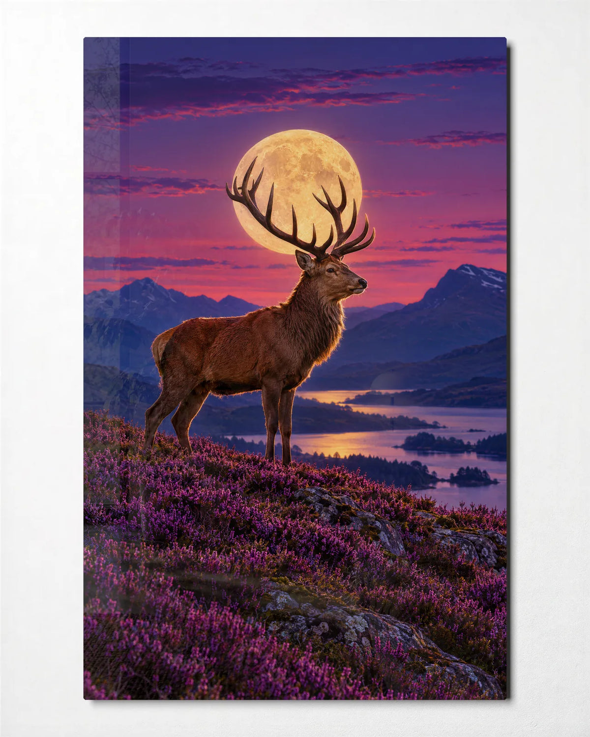 Stag and the Rising Moon — front view of glass wall art