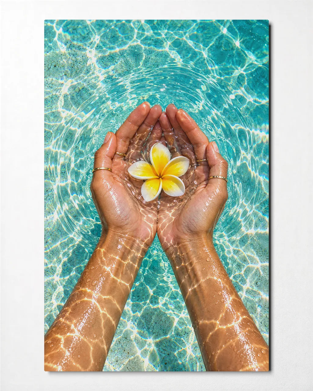 Flower in Cupped Hands — front view of glass wall art